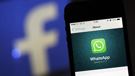 WhatsApp和野性，怪异，古怪的投资世界